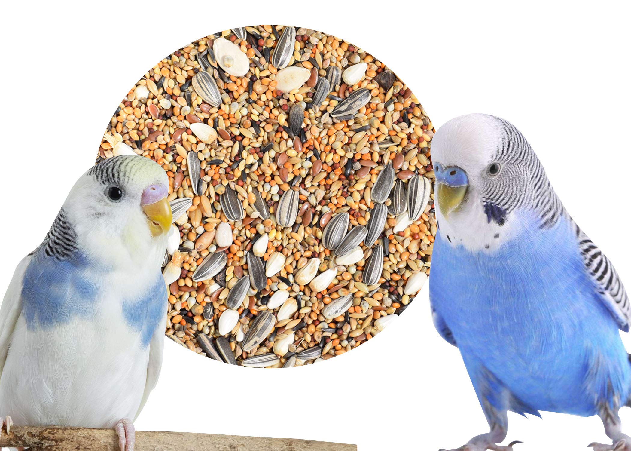 Seed mix For Budgies 1 kg